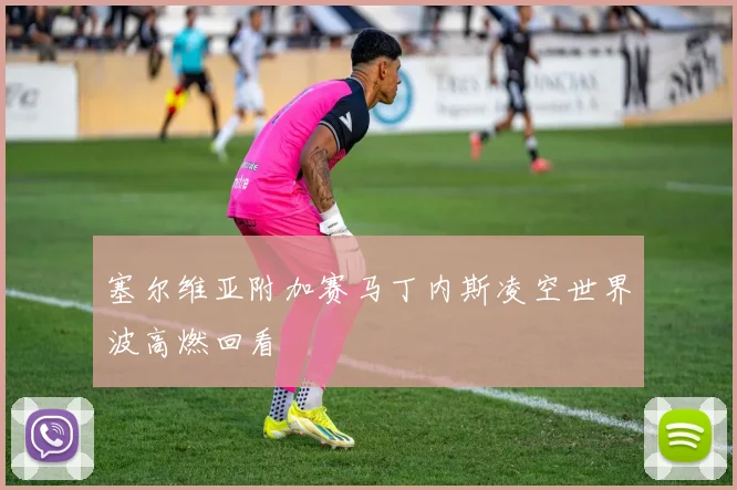 塞尔维亚附加赛马丁内斯凌空世界波高燃回看