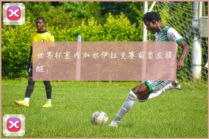 世界杯塞内加尔伊拉克赛前首发提醒