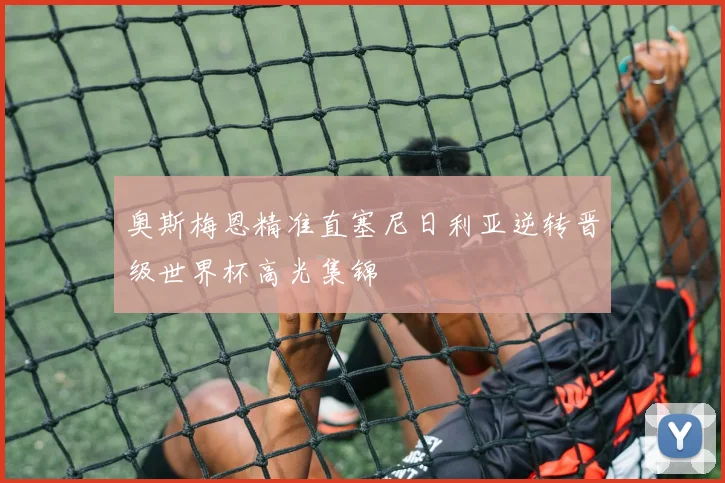 奥斯梅恩精准直塞尼日利亚逆转晋级世界杯高光集锦