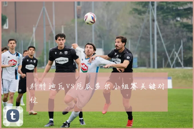 科特迪瓦vs厄瓜多尔小组赛关键对位