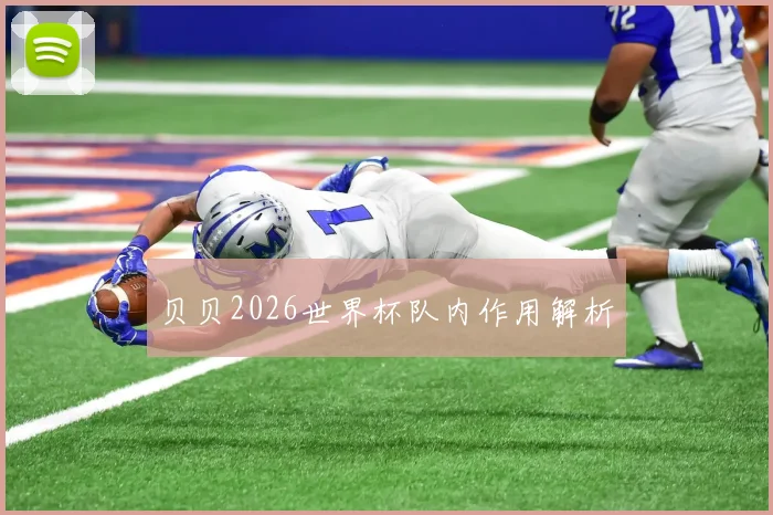 贝贝2026世界杯队内作用解析