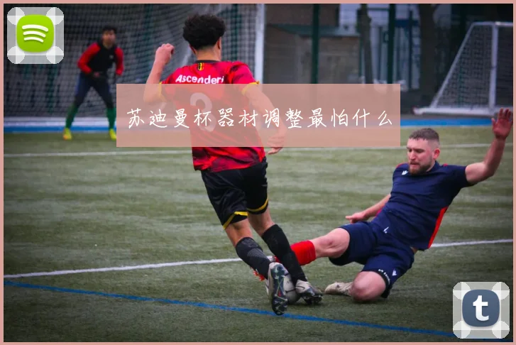 苏迪曼杯器材调整最怕什么