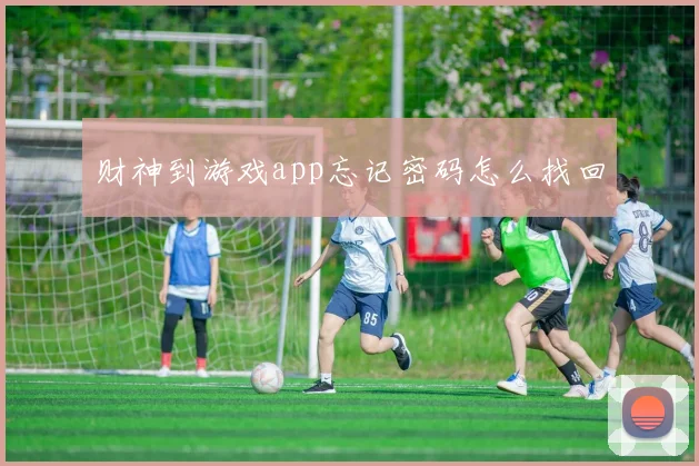 财神到游戏app忘记密码怎么找回