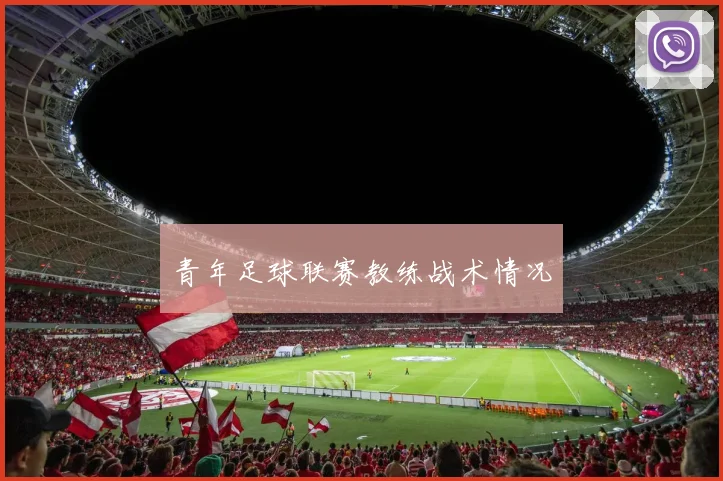 青年足球联赛教练战术情况