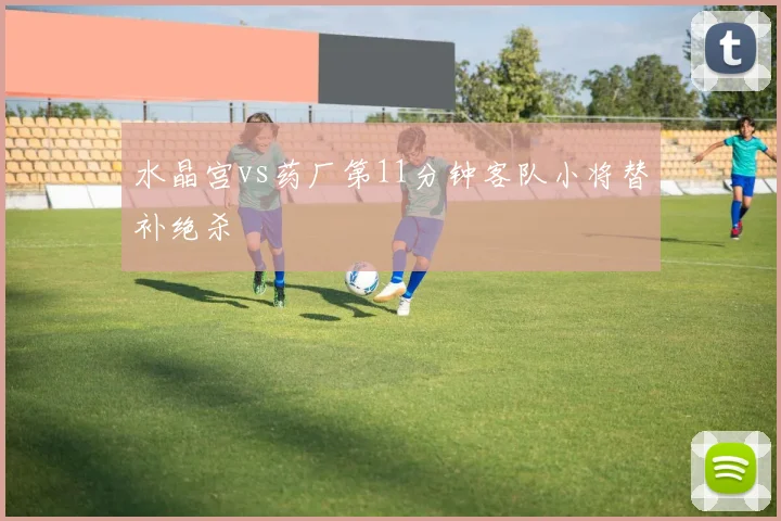 水晶宫vs药厂第11分钟客队小将替补绝杀