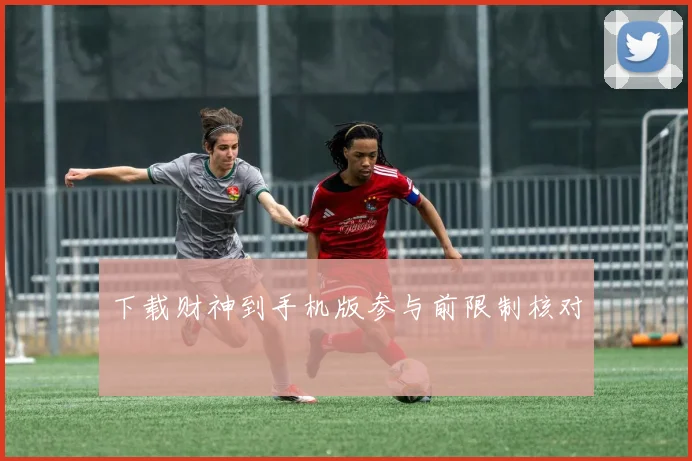 下载财神到手机版参与前限制核对