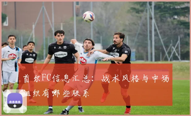 首尔FC信息汇总:战术风格与中场组织有哪些联系